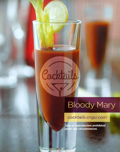 Bloody Mary cocktail with Vodka