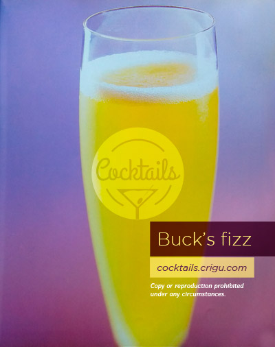 Bucks fizz cocktail with Champagne