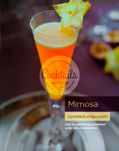 Mimosa Cocktail - Effervescent Drink