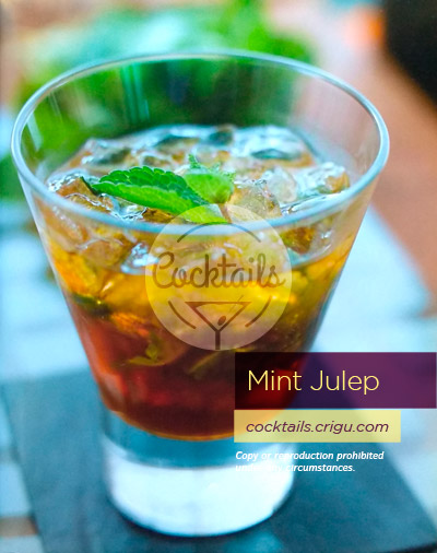 Mint julep cocktail with whisky