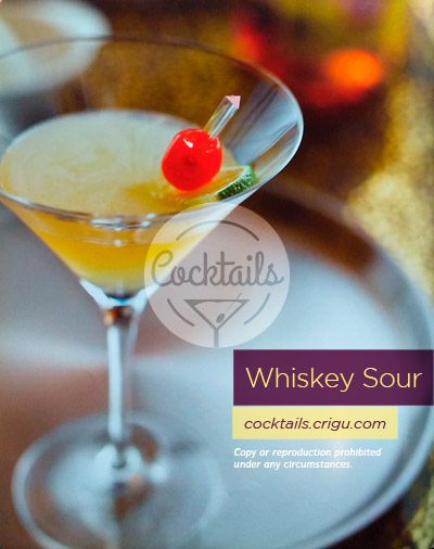 Whiskey Sour Cocktail